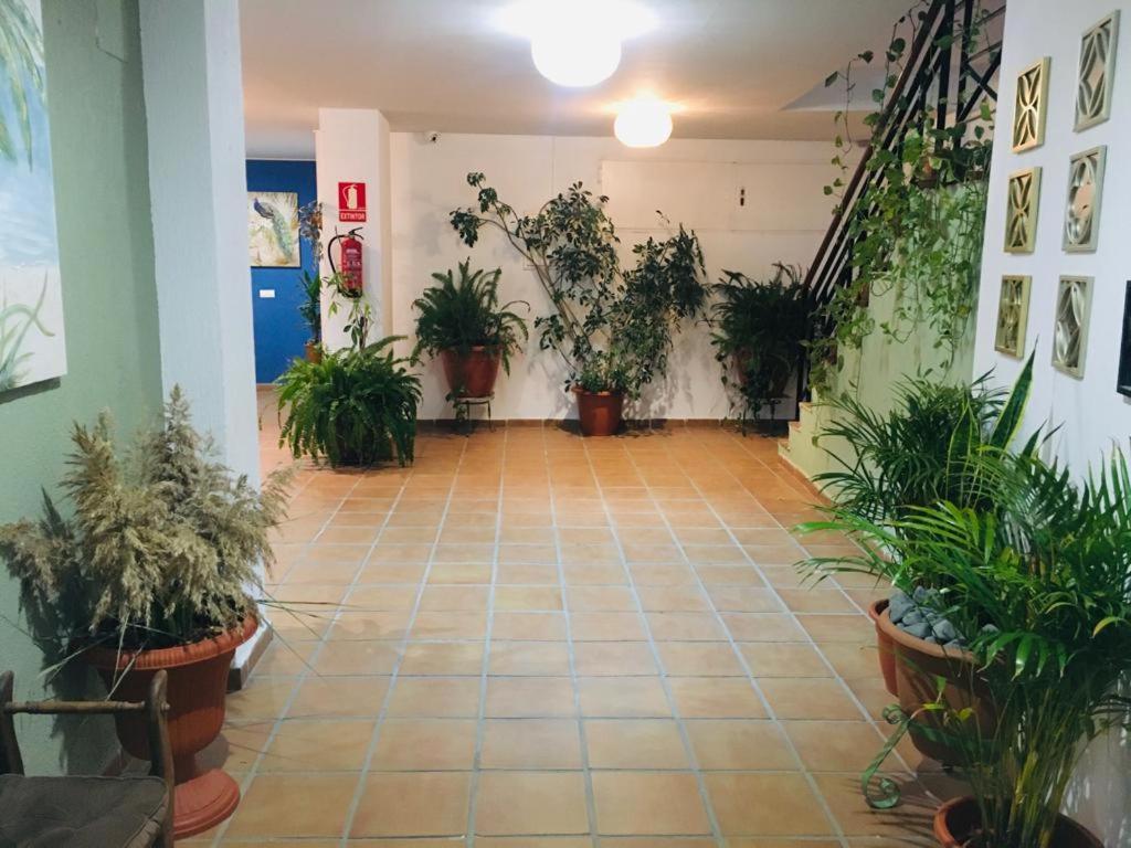 Manilva Playa Apartment Bagian luar foto