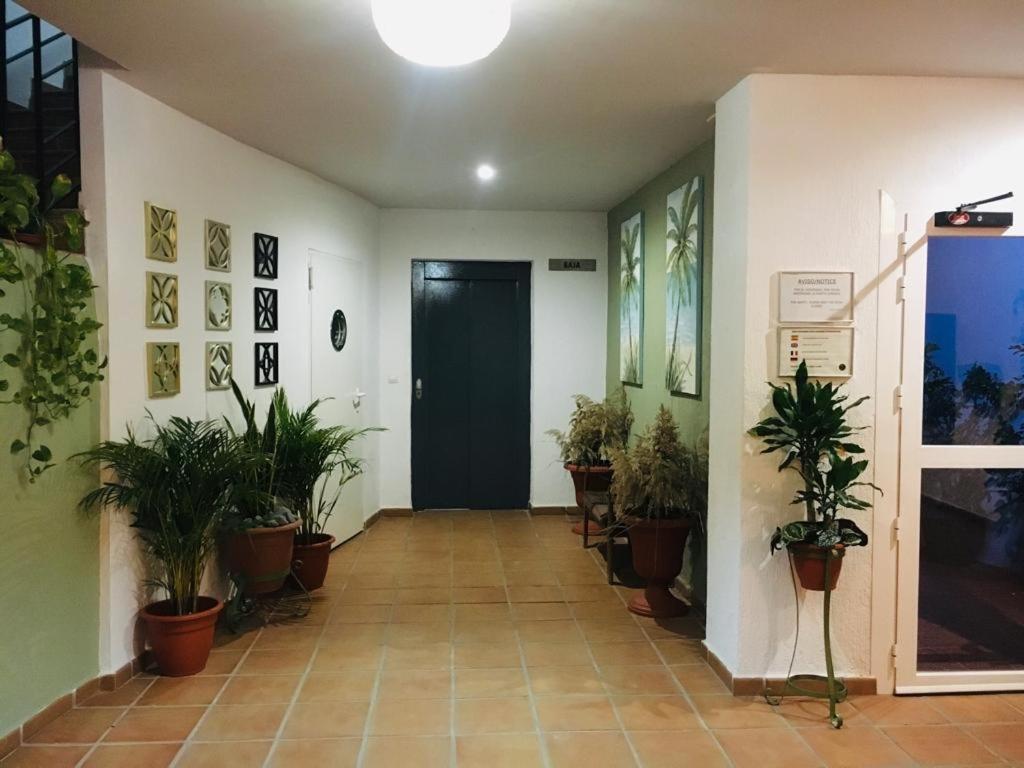 Manilva Playa Apartment Bagian luar foto